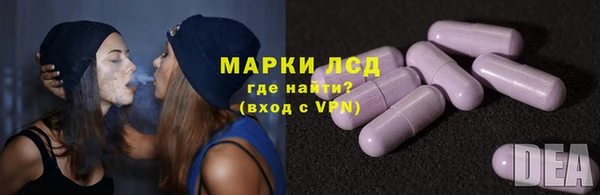 шишки Горно-Алтайск